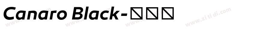 Canaro Black字体转换
